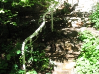 iron-anvil-handrails-post-mount-vine-xx-xxx8-burnet-pipe-hr-with-vine-oak-leaf-2