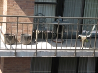 iron-anvil-railing-by-others-slc-downtown-2-1