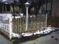 iron-anvil-gates-by-others-driveway-flat-white