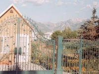 iron-anvil-gates-driveway-french-curve-milkyhollow-and-fence-20-1996