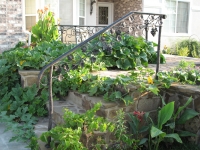 iron-anvil-handrails-post-mount-vine-vern-wilson-2-2