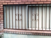 iron-anvil-security-window-guards-lower-split-entry-window