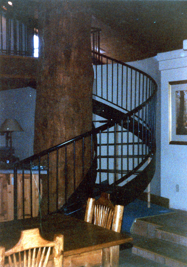 iron-anvil-stairs-spiral-angle-iron-no-tread-around-a-tree-42-1050-mike-holmes-16